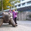  ,   Elena, 55 ,     , c 