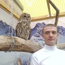 ���������� ������, ���� ������� ����, 38 ���, ������������ ��� ����� � ���������, c�������� ���������