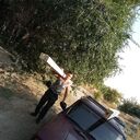 ���������� ���������, ���� ������� ���������, 44 ����, ������������ ��� ����� � ���������, c�������� ���������