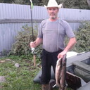 ���������� ���������, ���� ������� ������, 70 ���, ������������ ��� ������, ����� � ���������, c�������� ���������