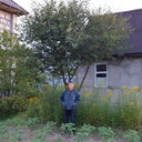 ���������� ������, ���� ������� ������, 69 ���, ������������ ��� c�������� ���������