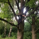 ���������� �����-���������, ���� ������� ������, 52 ����, ������������ ��� ������, ����� � ���������, c�������� ���������