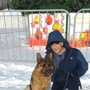 ���������� �������, ���� ������� �������, 55 ���, ������������ ��� ������, ����� � ���������