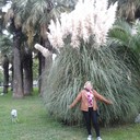  ,   , 67 ,   ,   , c 
