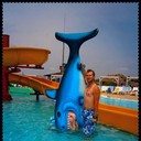 ���������� ������, ���� ������� �����, 40 ���, ������������ ��� ������, ����� � ���������, c�������� ���������, ���������