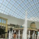 ���������� ������, ���� ������� ������, 33 ����, ������������ ��� ������, ����� � ���������