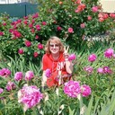  ,   , 42 ,     , c 