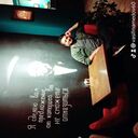 ���������� ����������, ���� ������� �����, 37 ���, ������������ ��� ������, ����� � ���������