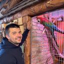 ���������� �����������, ���� ������� ������, 32 ����, ������������ ��� ������, ����� � ���������, c�������� ���������