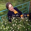 ���������� ����������, ���� ������� �������, 66 ���, ������������ ��� ������, ����� � ���������, ���������