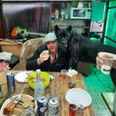 ���������� ���������� �����, ���� ������� ������, 49 ���, ������������ ��� ������, ����� � ���������, c�������� ���������