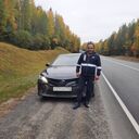 ���������� �������, ���� ������� ������, 43 ����, ������������ ��� ������, ����� � ���������