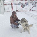 ���������� ������, ���� ������� ����, 49 ���, ������������ ��� ������, ����� � ���������