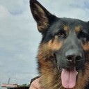 ���������� ��������, ���� ������� Ivan, 35 ���, ������������ ��� ������, ����� � ���������, c�������� ���������, ���������