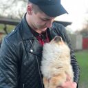 ���������� ���������, ���� ������� �����, 29 ���, ������������ ��� ������, c�������� ���������