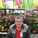  ,   , 61 ,   ,   , c , 