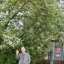 ,   , 70 ,   ,   