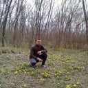 ���������� �����-���������, ���� ������� ������, 38 ���, ������������ ��� ������, ����� � ���������, c�������� ���������