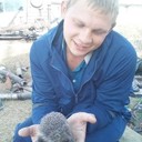 ���������� �������, ���� ������� �������, 34 ����, ������������ ��� ������, ����� � ���������, c�������� ���������