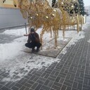  ,   , 33 ,     , c , 
