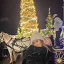 ���������� ���������, ���� ������� ���������, 21 ���, ������������ ��� ������, ����� � ���������