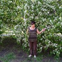  ,   , 56 ,     