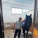 ���������� ������, ���� ������� �����, 40 ���, ������������ ��� ������, ����� � ���������