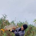 ���������� ���������, ���� ������� �������, 33 ����, ������������ ��� ������, ����� � ���������, ���������