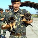 ���������� ��������, ���� ������� ��������, 38 ���, ������������ ��� ������, ����� � ���������, c�������� ���������