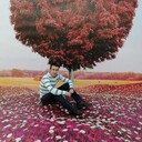 ���������� ������, ���� ������� �����, 44 ����, ������������ ��� ������, ����� � ���������