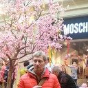  ,   , 56 ,   ,   , c 