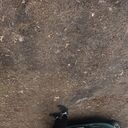 ���������� ������, ���� ������� �������, 26 ���, ������������ ��� ������, ����� � ���������, c�������� ���������