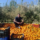 ���������� �����, ���� ������� ��������, 41 ���, ������������ ��� ������, ����� � ���������, c�������� ���������