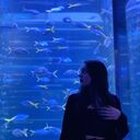 ���������� �����-���������, ���� ������� ���, 25 ���, ������������ ��� ������, ����� � ���������, c�������� ���������