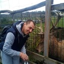 ���������� �����������, ���� ������� ������, 41 ���, ������������ ��� ������, ����� � ���������, c�������� ���������