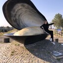  ,   Marina, 36 ,     , c 