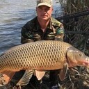 ���������� �������, ���� ������� ��������, 46 ���, ������������ ��� ������, ����� � ���������