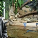 ���������� ��������, ���� ������� ����, 47 ���, ������������ ��� ������