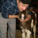 ���������� ������ ��������, ���� ������� �����, 52 ����, ������������ ��� ������, ����� � ���������, c�������� ���������