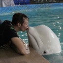 ���������� ����-�����������, ���� ������� ����, 30 ���, ������������ ��� ������, ����� � ���������, c�������� ���������