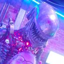 ���������� ������, ���� ������� Natta, 41 ���, ������������ ��� ������, ����� � ���������, c�������� ���������, ���������