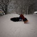 ���������� �����-���������, ���� ������� Ը���, 35 ���, ������������ ��� ����� � ���������, c�������� ���������, ���������