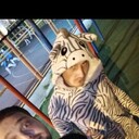  ,   , 31 ,     , c , 