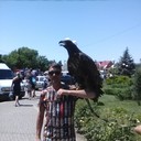 ���������� ���������, ���� ������� ������, 51 ���, ������������ ��� ������, ����� � ���������, c�������� ���������