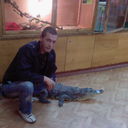 ���������� �������, ���� ������� ����, 42 ����, ������������ 