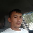  ,   Gans, 38 ,   