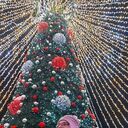 ���������� ����, ���� ������� �������, 41 ���, ������������ ��� ������, ����� � ���������, c�������� ���������