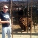 ���������� �������, ���� ������� �������, 41 ���, ������������ ��� ������, ����� � ���������, c�������� ���������