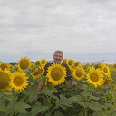  ,   , 55 ,   ,   