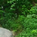 ���������� ����, ���� ������� Tarlan, 55 ���, ������������ ��� ������, ����� � ���������, c�������� ���������, ���������